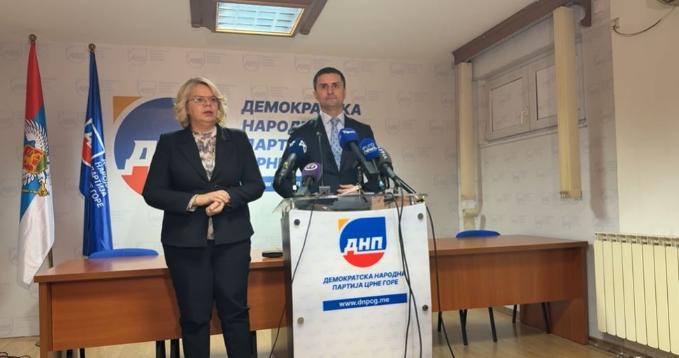 Zogovic-Vukicevic