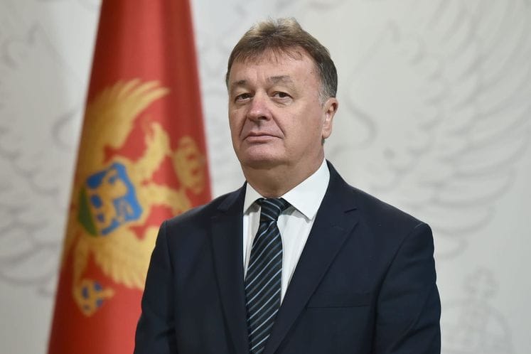 aleksic budimir
