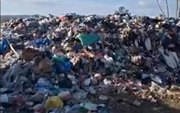 DOO Komunalno Tivat napravilo deponiju na ulazu u grad: U šumi kod Montepranca oko minimum 600 kubika otpada, smrad do bulevara, ptice i goveda oko smeća 