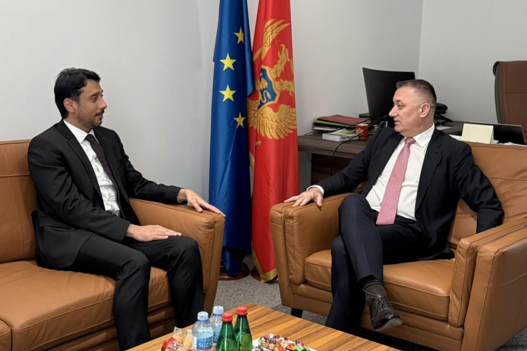 ministarstvo socialnog staranja brige o porodici i demografije