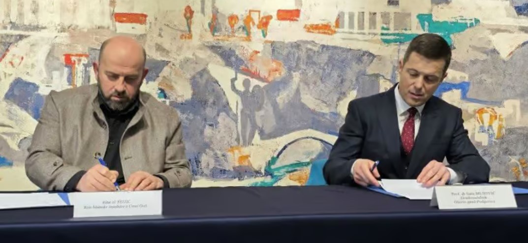 mujović i fejzić