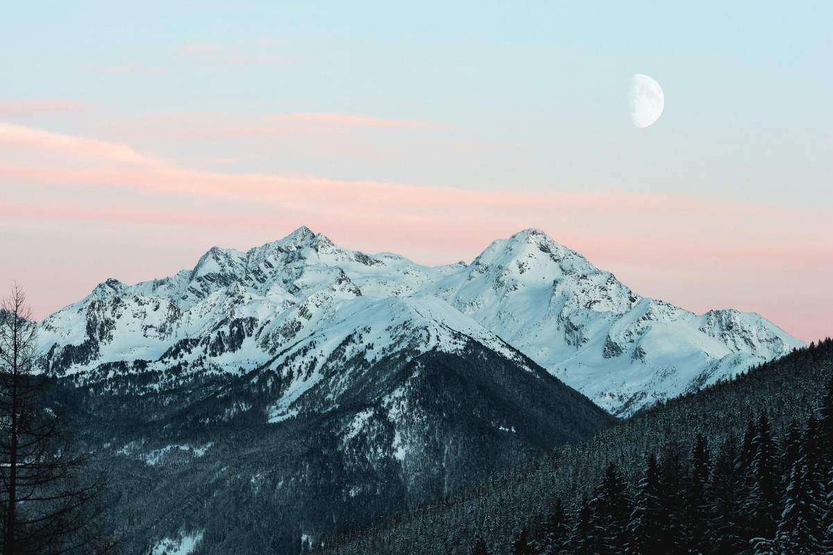 pexels-eberhardgross-1287145