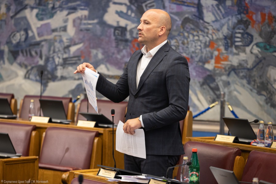 Pižurica: Zakon o Petrovićima nije poklon, već odnos prema istoriji Crne Gore