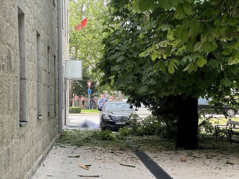 ubistvo na cetinju kod teretane