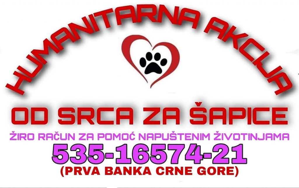 NVO Prijatelji životinja: Nastavlja se humanitarna akcija „Od srca za šapice“