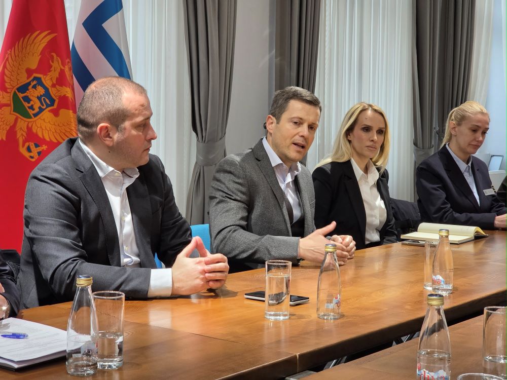 Glavni grad rješava problem napuštenih pasa; Pojačan nadzor i nulta tolerancija na nesavjesno postupanje prema životinjama