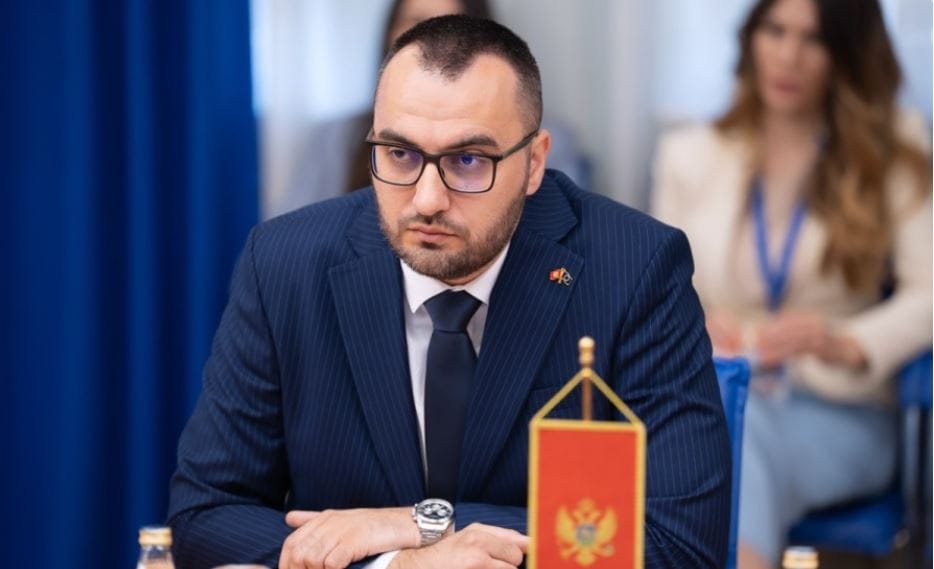 Dusko-Stjepovic-Demokratska-Crna-Gora-foto-DCG (2)