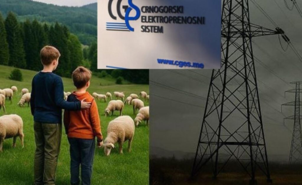 GI Spasimo Brezna: CGES nastavlja da ignoriše ljude kojima dalekovodi prolaze iznad kuća