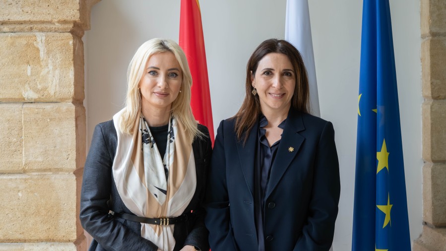Gorčević: Izrada pristupnog ugovora tokom kiparskog predsjedavanja EU