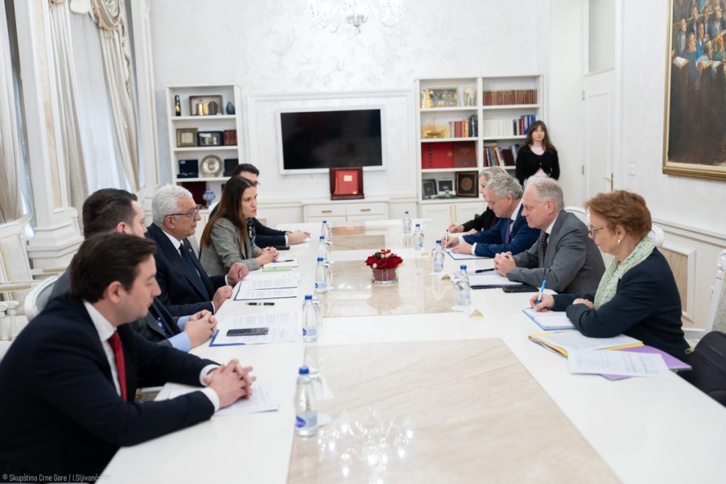 Mandić se sastao sa Kopmanom: 2026. godina presudna za proces pristupanja EU