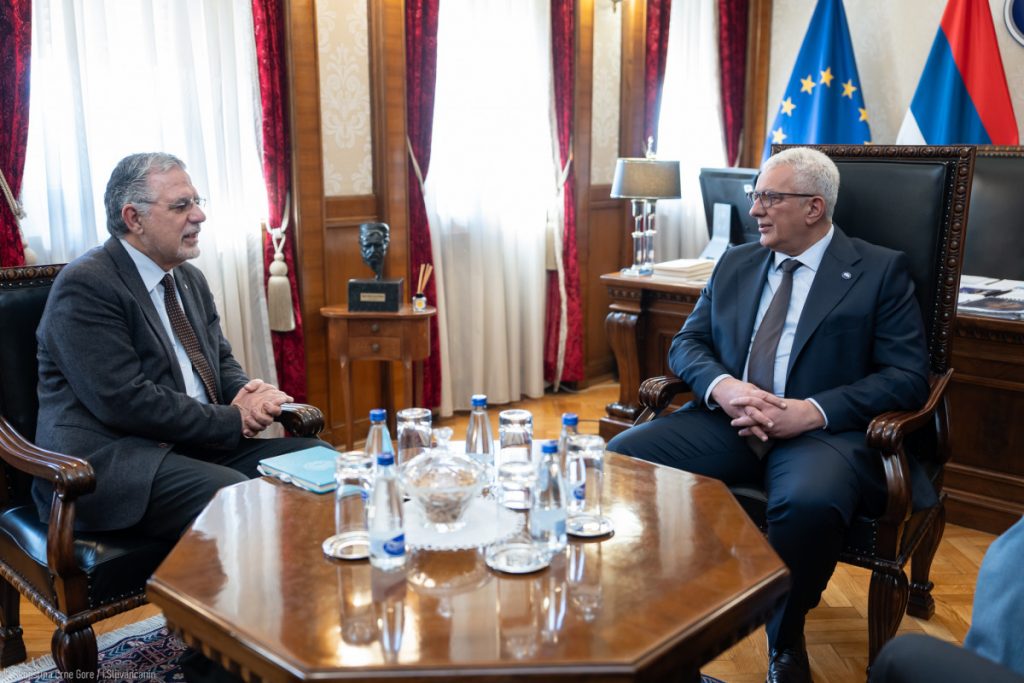 Mandić sa generalnim sekretarom Parlamentarne skupštine Mediterana: Italijansko iskustvo ključ za borbu Crne Gore protiv kriminala