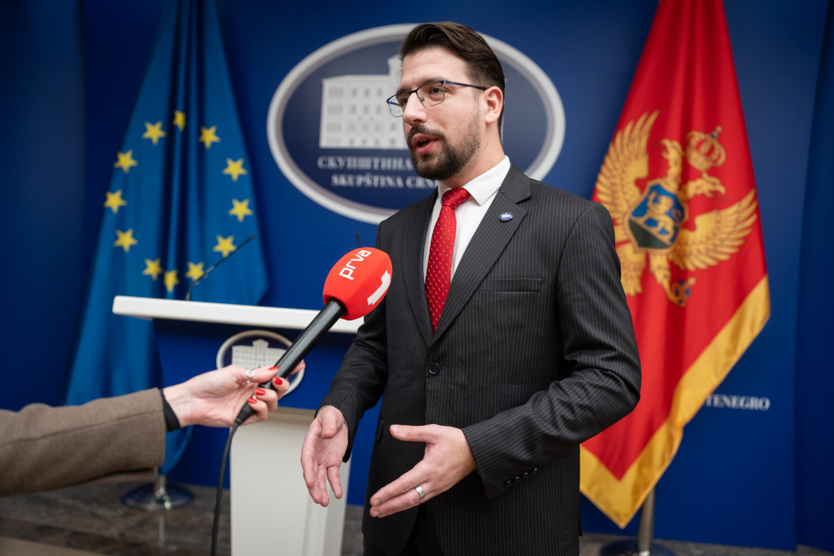 mirko milicic