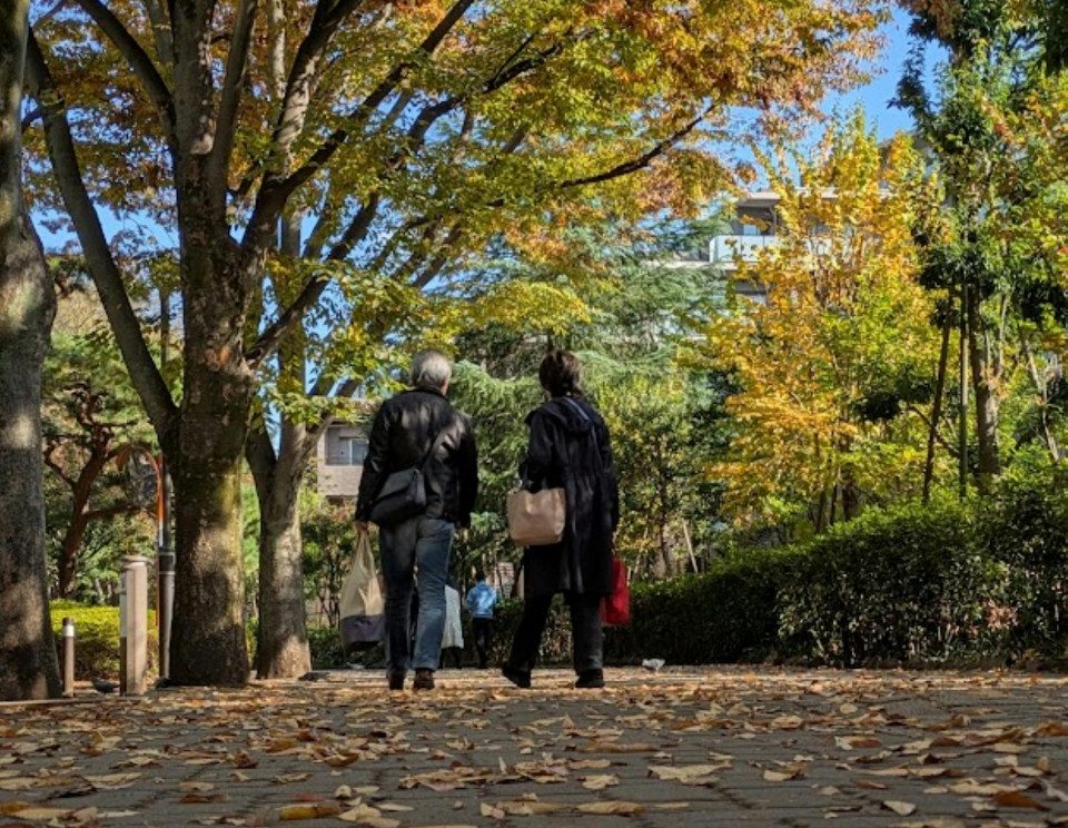pexels-yuki-kiki-2156230879-34754495