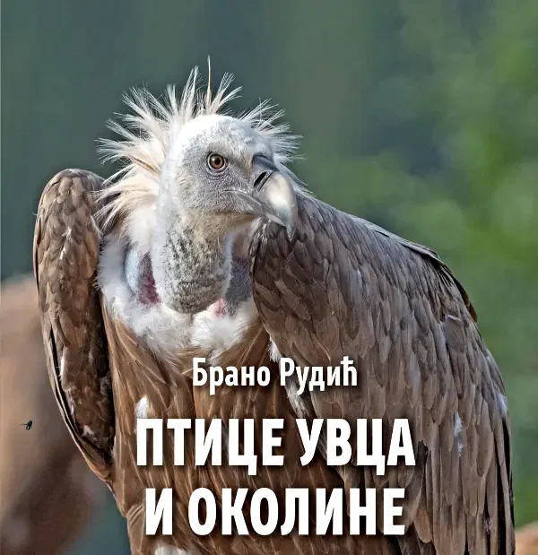 Knjiga „Ptice Uvca i okoline“ – spoj nauke i ljubavi prema prirodi