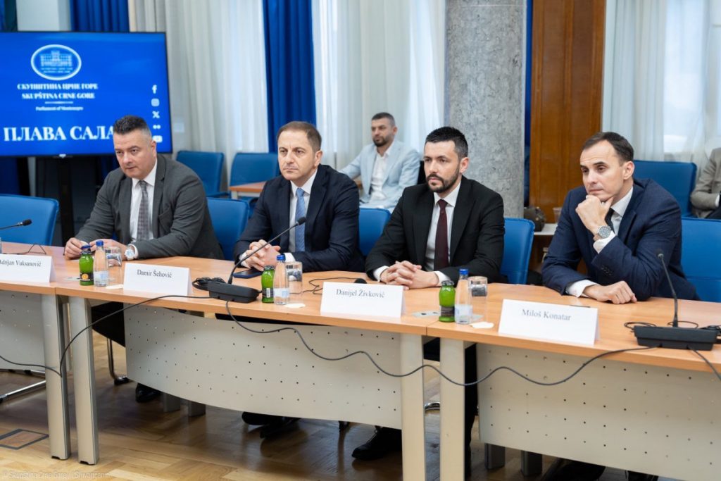 Živković: Crnoj Gori potrebna snažna, državno odgovorna i nedvosmisleno proevropska Vlada