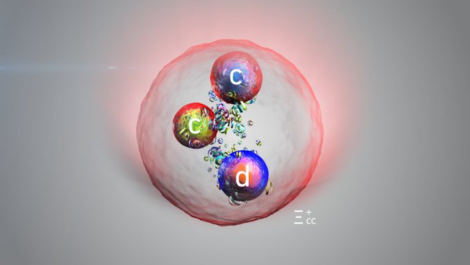 Nova cestica