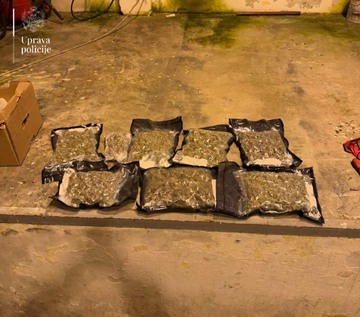 Marihuana ZGP Sukobin Muricani