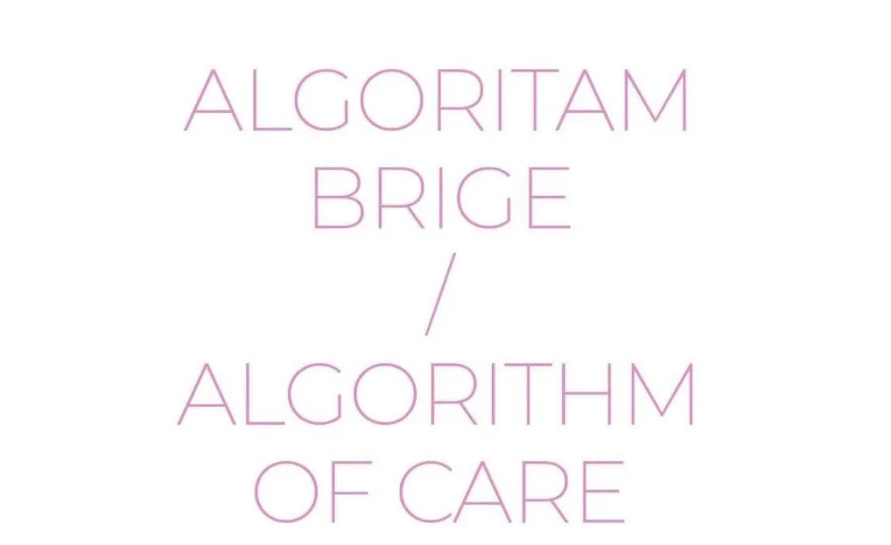 Algoritam brige