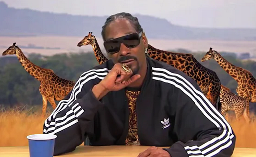 Screenshot 2026-03-27 at 15-10-00 (148) snoop dogg interview – YouTube