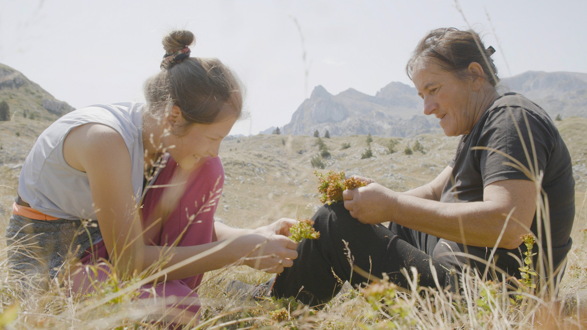Still Planina (2) – foto Eva Kraljevic, copyright WAKE UP FILMS