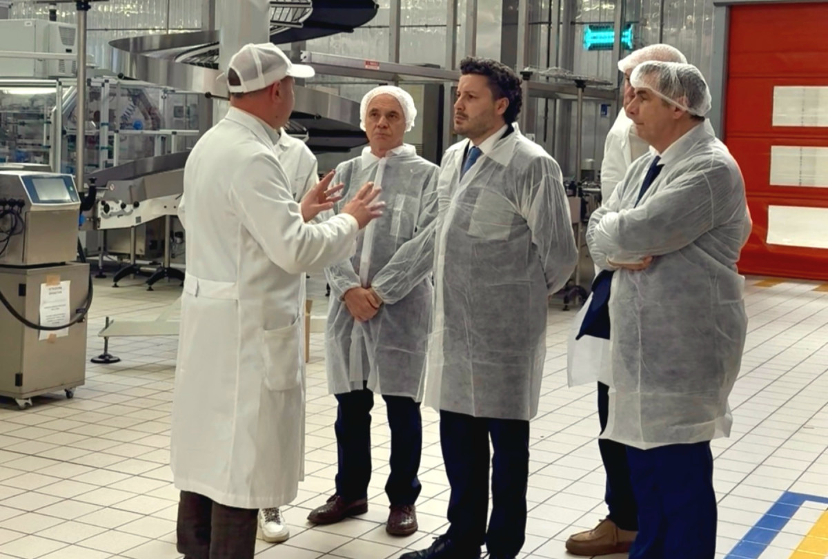 abazovic fabrika