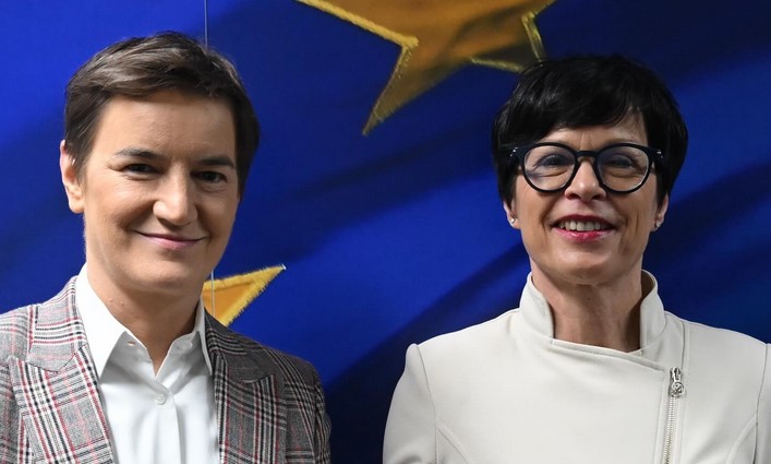 brnabić kos