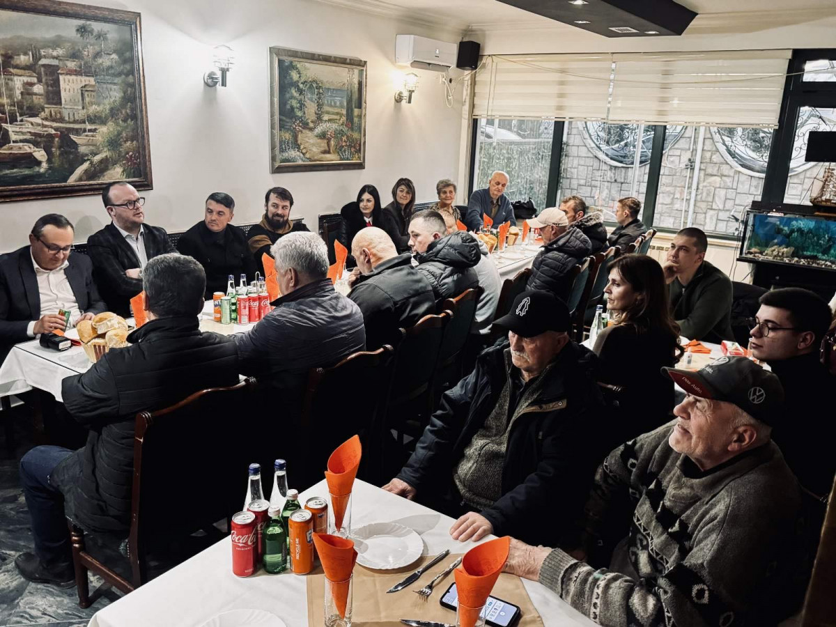 demokrate gusinje