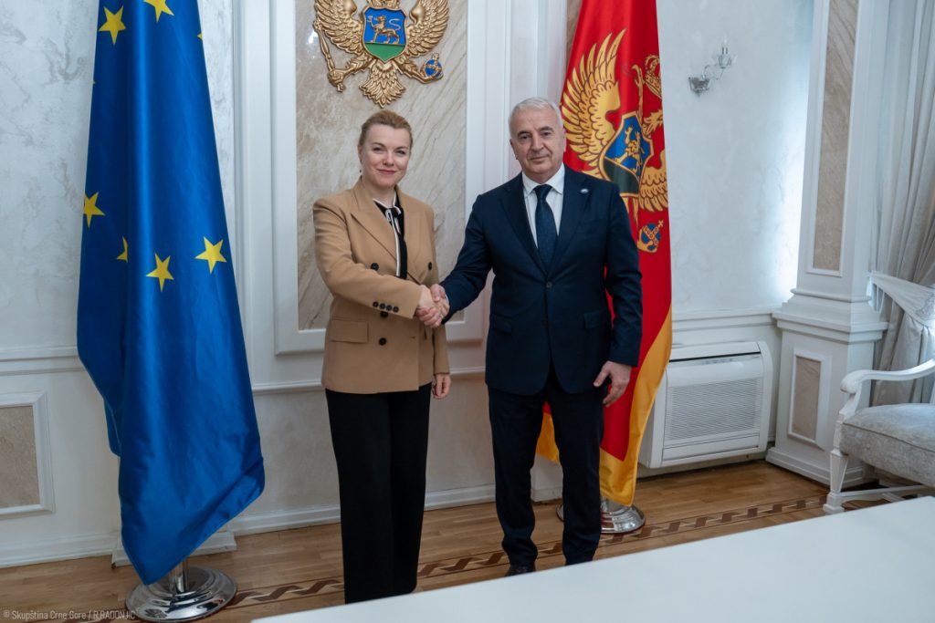 Đurović sa Molcean: Potrebno usklađivanja sa standardima Evropske unije