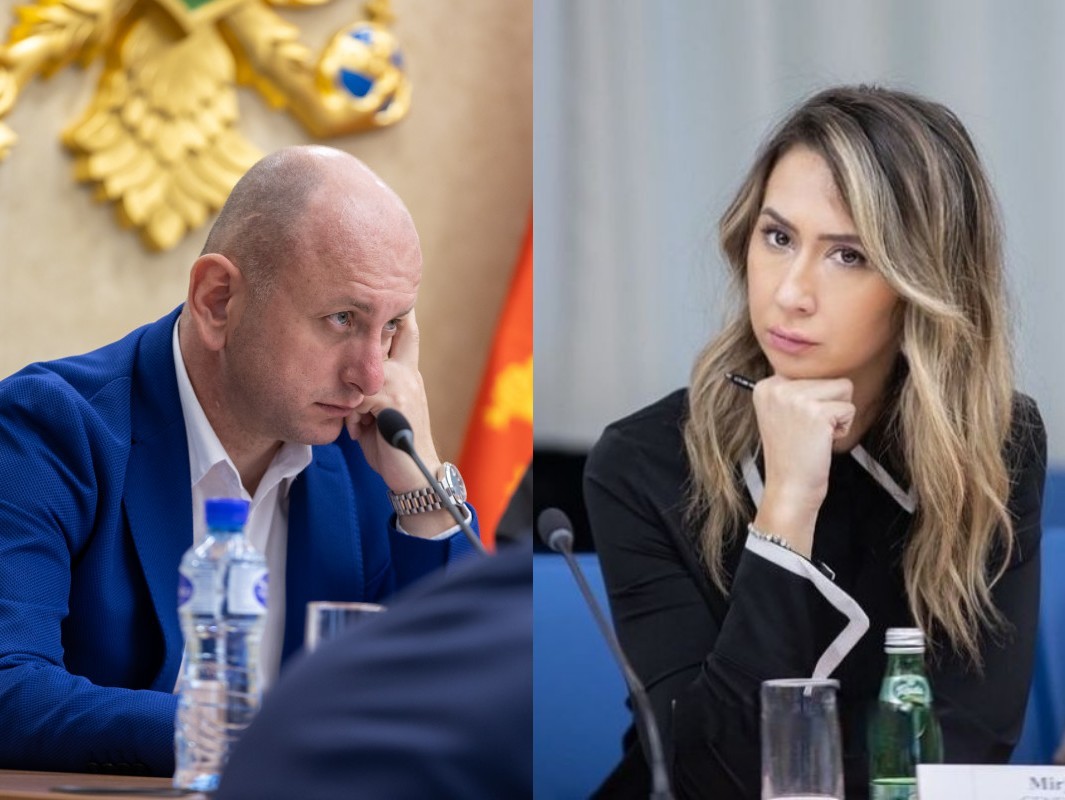 milan knezevic mirjana pajkovic