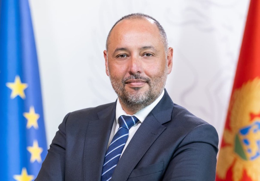 nenad vitomirovic