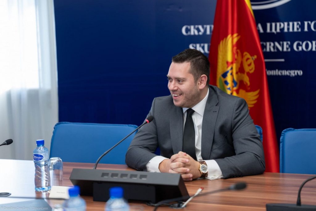 Stanišić: Skupština Crne Gore ima podršku Bundestaga
