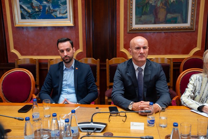 zirojevic i lakovic