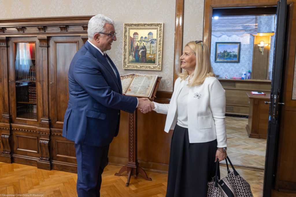 Mandić otvorio predavanje Tanje Miščević: Uloga parlamenta u procesu evropskih integracija nezamjenjiva