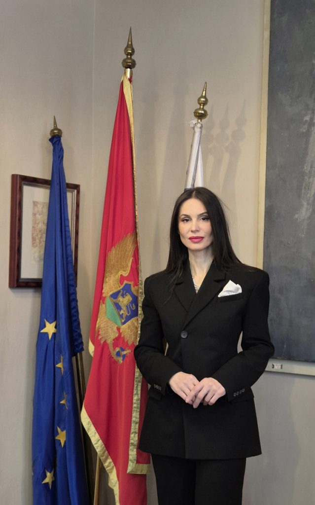 KIC „Budo Tomović“ dobio je novu, savremenu audio-vizuelnu opremu