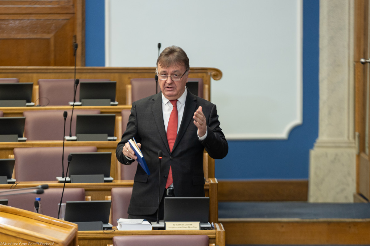 budimir aleksic