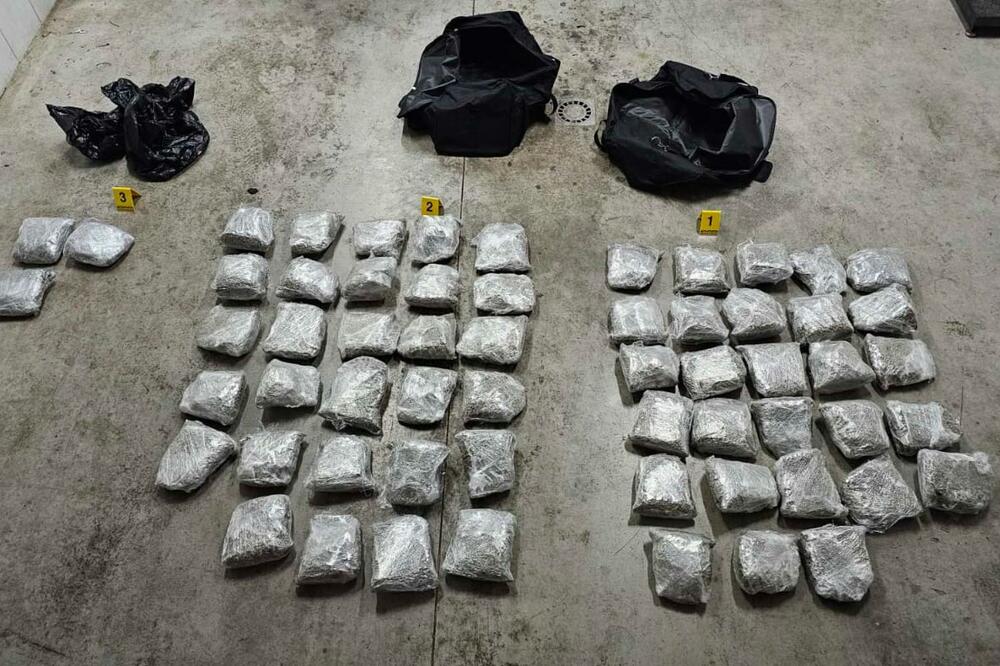 droga-emin-pepic