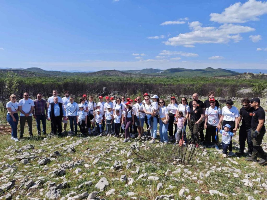U sklopu akcije “Zelena obnova Crne Gore” zasađeno preko 60 sadnica drveća