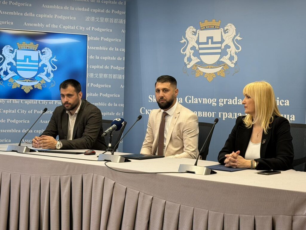 glavni rad i romi