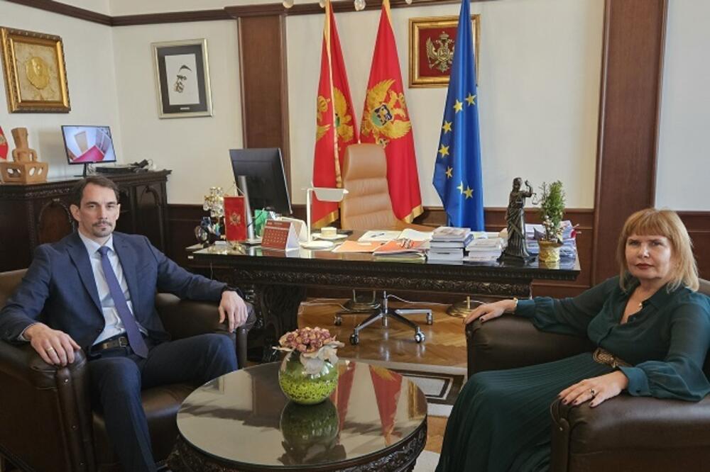 marković i pavličić