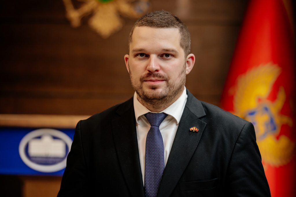 Mikić: Poslanici će biti odgovorniji kada ih građani budu direktno birali