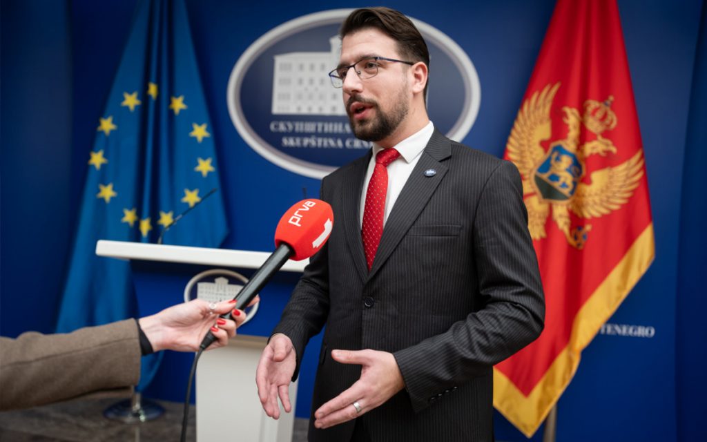 Miličić: Nova srpska demokratija čestita PES-u pridruženo članstvo u Evropskoj narodnoj partiji