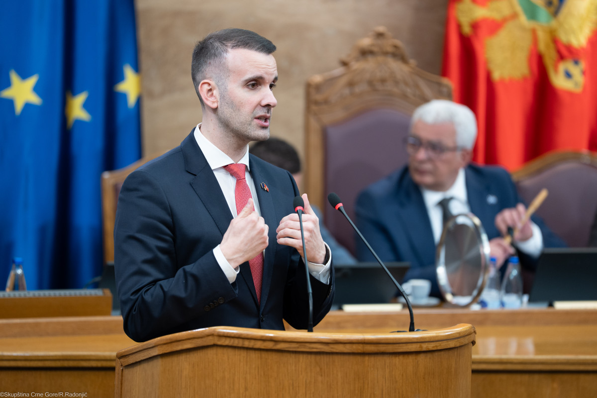mmilojko spajic andrija mandic