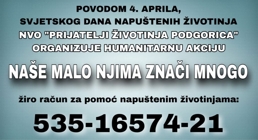 Povodom 4. aprila, Svjetskog dana napuštenih životinja