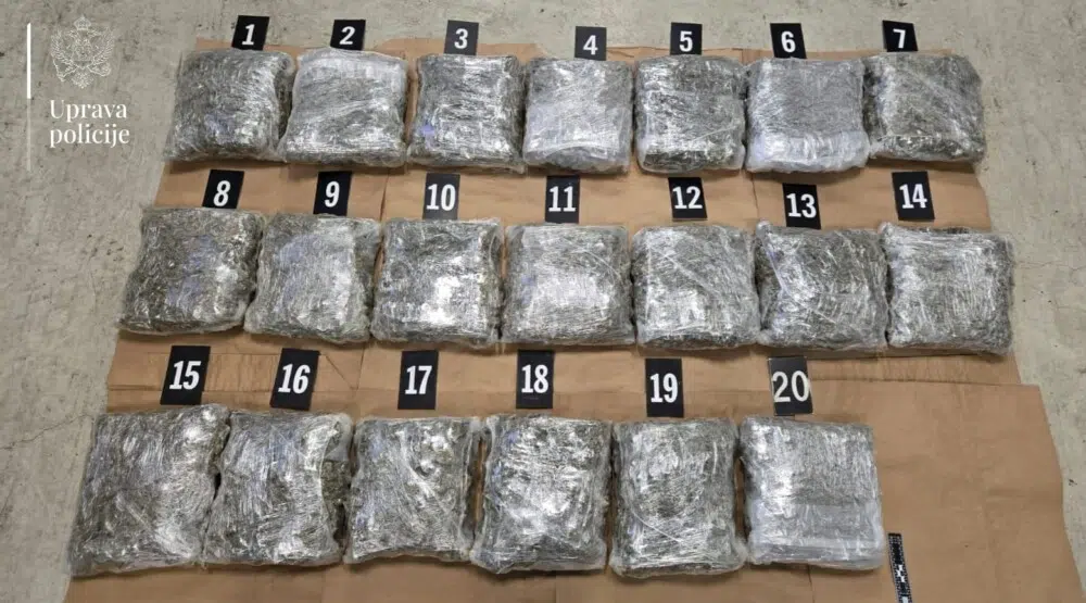 sbpk-droga1-1000×555-1.jpeg