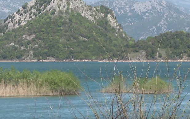 skadarsko