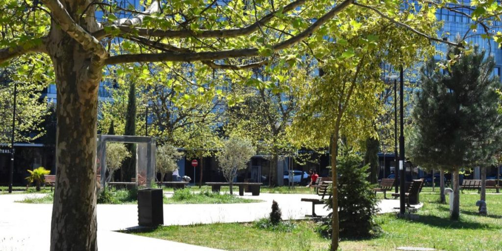 Zeleni kampus Univerziteta Crne Gore: Ideje koje oblikuju univerzitetski život