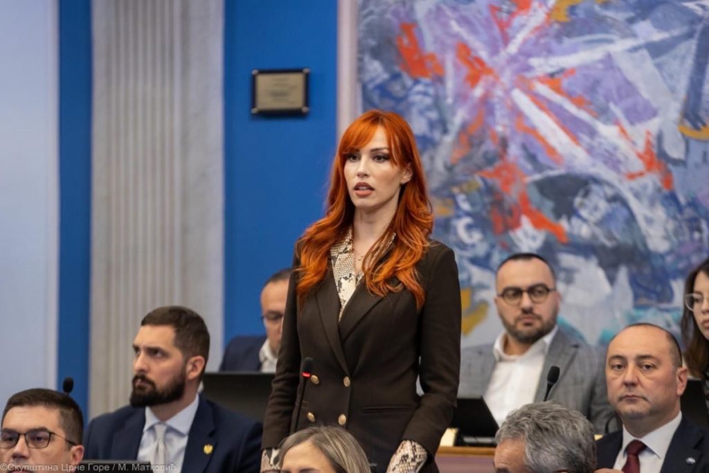 Vojinović: Političkim pokroviteljima Milovića i Mišurovića mnogo stalo da spriječe reforme, kako se nikada ne bi saznala istina