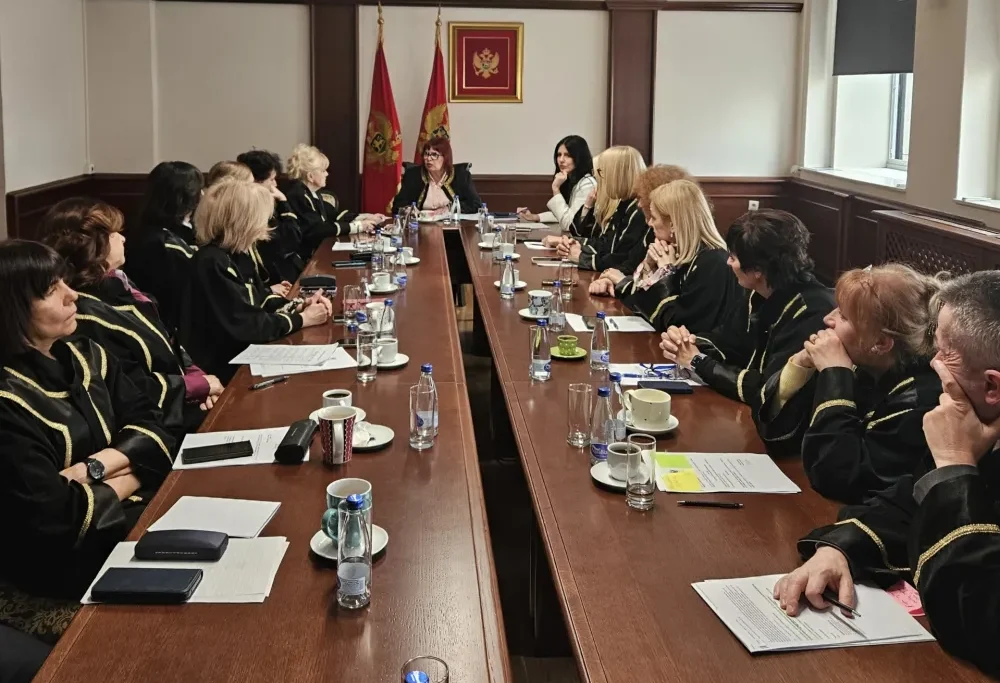 Grdinić predsjednik Komisije za izbor članova Sudskog savjeta iz reda sudija