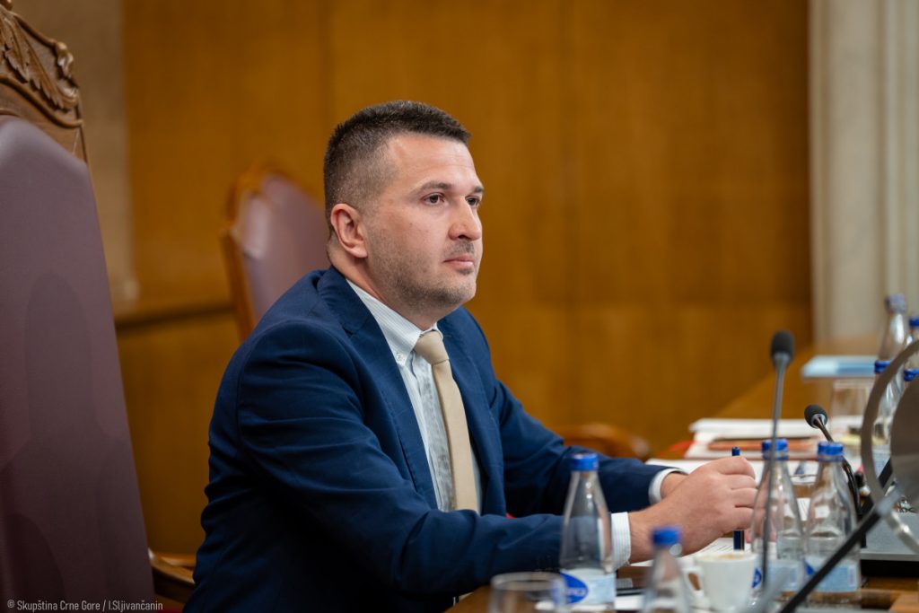 Pejović: Samit u Tivtu potvrdio da EU cijeni rezultate Crne Gore na evropskom putu