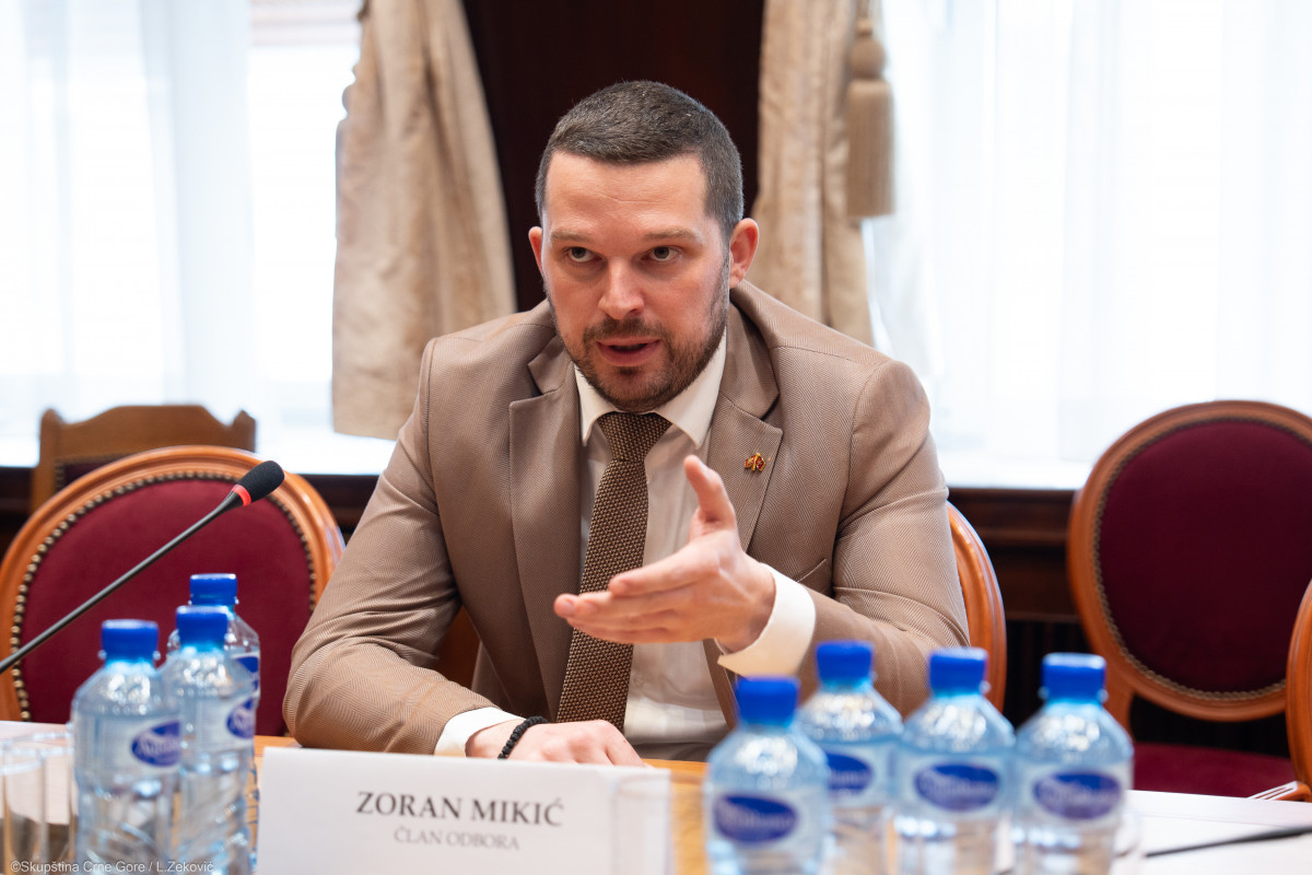 Zoran Mikic